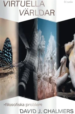 Virtuella världar : filosofiska problem