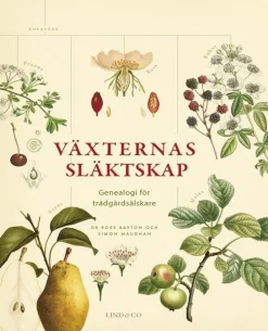 Växternas släktskap : genealogi för trädgårdsälskare